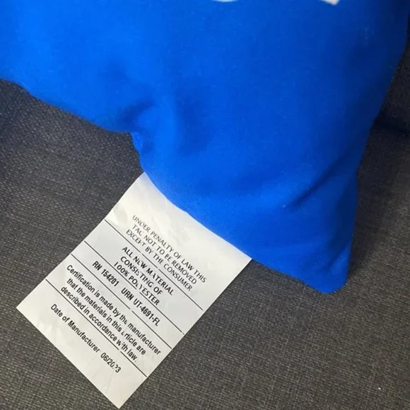 PARAMOUNT Pillow New without tags - Picture 3 of 4